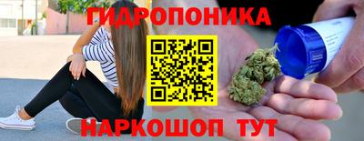 стаф Владимир