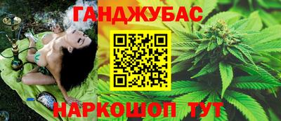 стаф Владимир