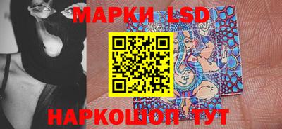 стаф Владимир