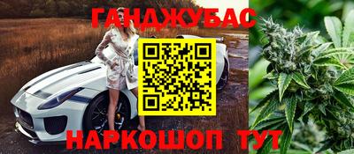 стаф Владимир