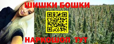 стаф Владимир