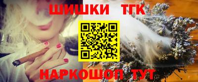 стаф Владимир
