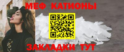 стаф Владимир