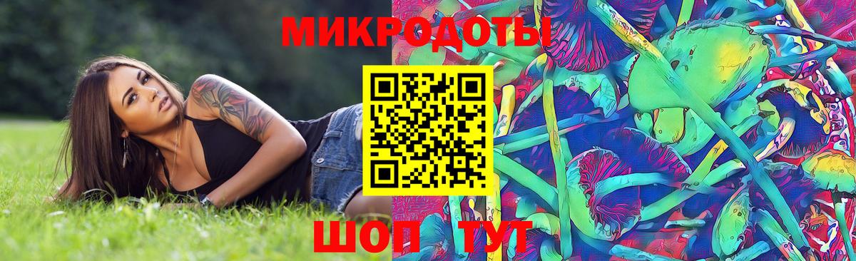 Псилоцибиновые грибы Psilocybe  купить закладку  Псилоцибиновые грибы мухоморы  Железноводск  Вход с VPN 